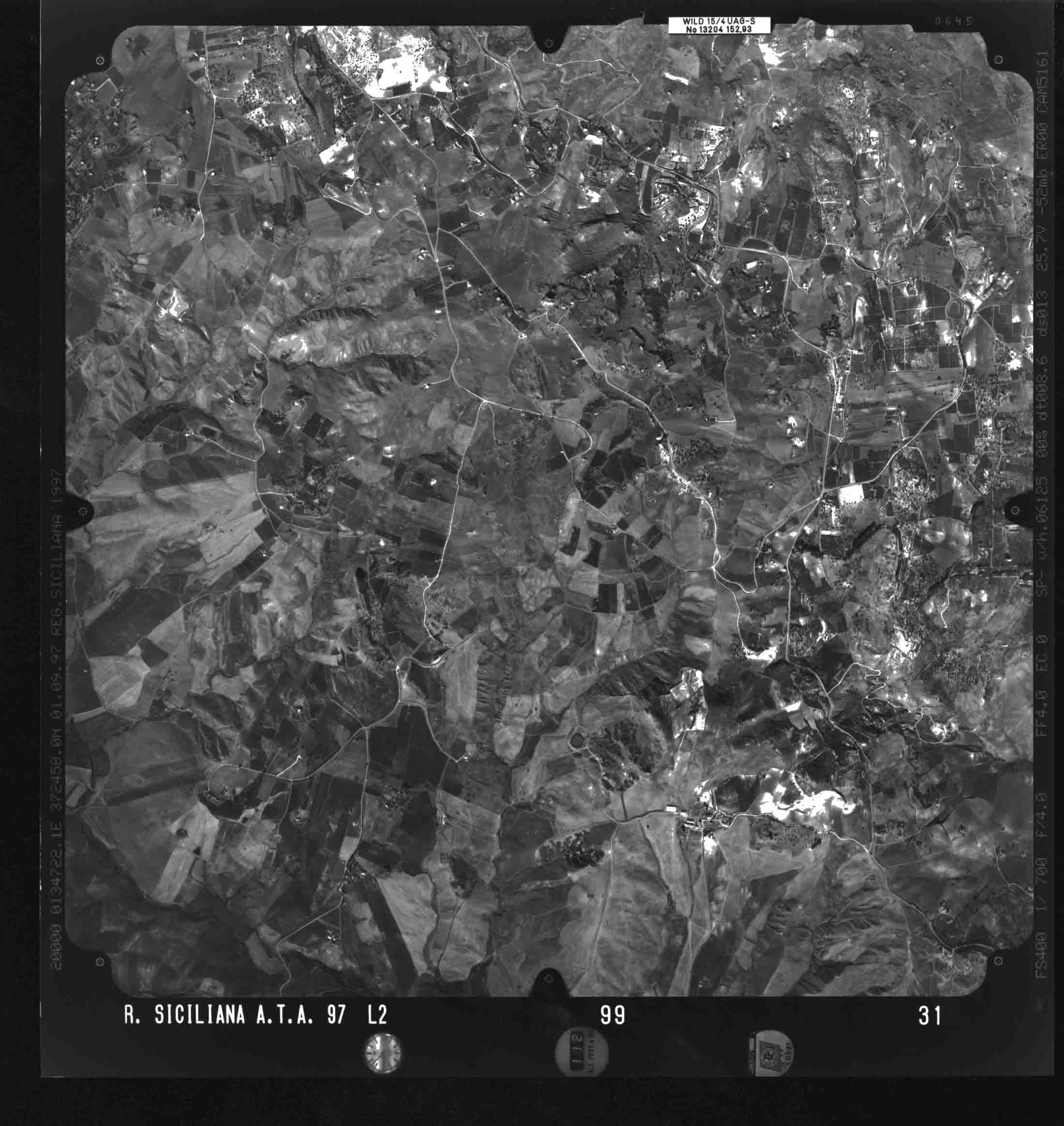 AG RACALMUTO 99 STR 31