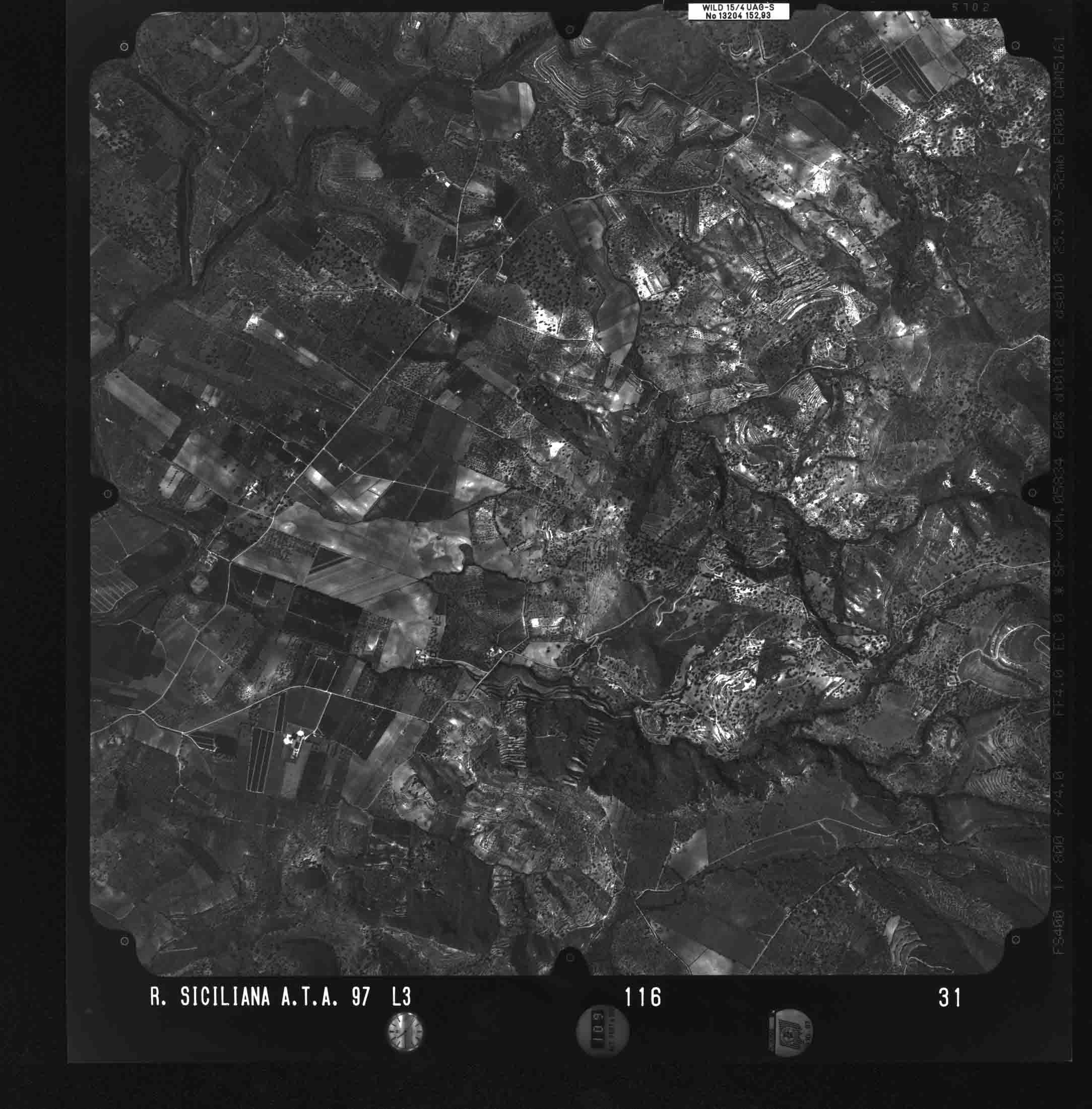 SR ROSOLINI 116 STR 31